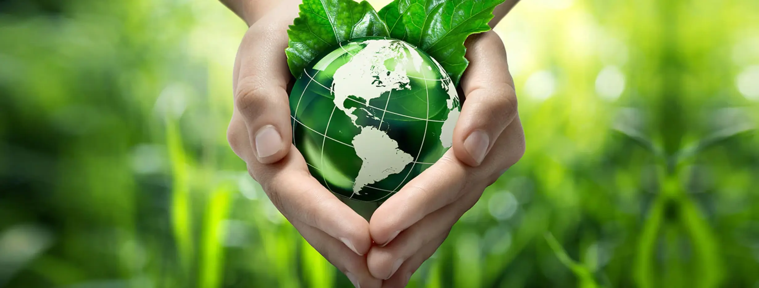 Image for Sustainable Development